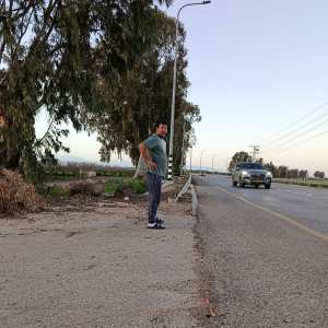 300 מתנדבים מתעדים דריסות חיות בר ומה שהם גילו מטריד